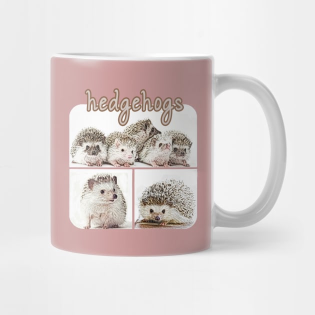 Pygmy Hedgehogs by raiseastorm
